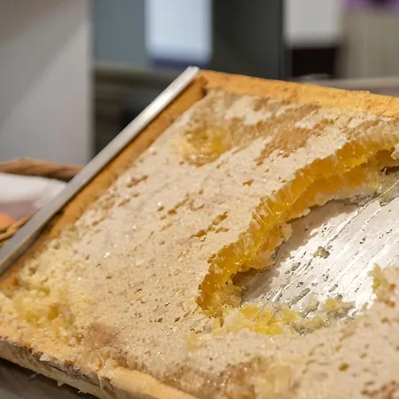 Le Palme Maggiore (adults Only)