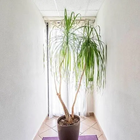 Le Palme (adults Only) Hotel 3*