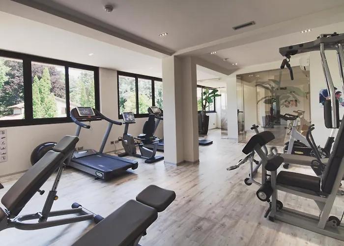 Le Palme Maggiore Bike Friendly (adults Only) Hotel 3*